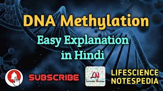 DNA Methylation  Easy Explanation in Hindi [upl. by Colston]