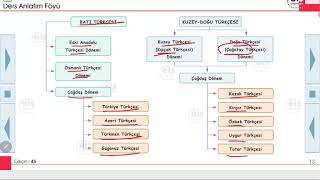 Türkçe  Dillerin Sınıflandırılması 📝 [upl. by Uttasta]