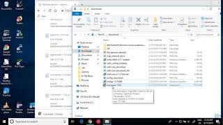 VNC Viewer setup for Windows [upl. by Neneek]