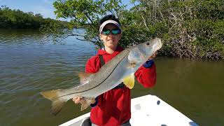 Fishing For Redfish In Chokoloskee [upl. by Ahcire249]