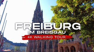 Freiburg im Breisgau Germany 4K Walking Tour  Jewel of the Black Forest [upl. by Sulakcin]