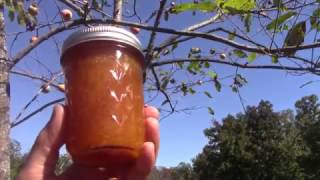 Persimmon Jam  Fruit Preserve  Spread  Part 2 Final [upl. by Marl]