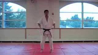 Tomiki Aikido Basic Footwork quotUnsokuquot Explained [upl. by Weeks]