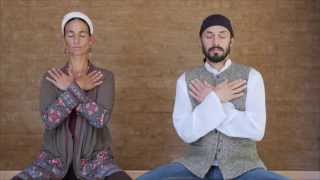 40 Day Global Sadhana Full Practice The Undying Soul with Mirabai Ceiba [upl. by Pederson423]