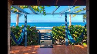 Vieques Puerto Rico  Real Estate For Sale  Caribbean Beachfront  Paradise Cove Suites [upl. by Stefan215]