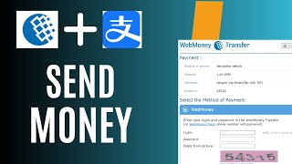 How to send money to webmoney from alipay account [upl. by Endo]