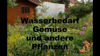 Webinar Wasserbedarf im Gemüseanbau [upl. by Ash]