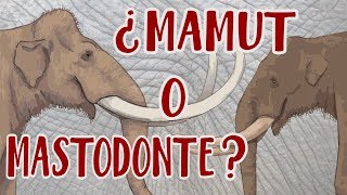 ¿Mamut o mastodonte  Y cuál es la diferencia [upl. by Enial]