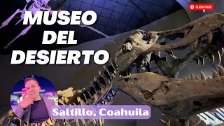 El mejor museo de dinosaurios en México [upl. by Dnalon]