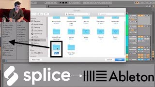 How to Use Splice Sounds in Ableton Tutorial [upl. by Assertal877]