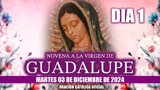 Novena a la Virgen de Guadalupe 🙏 Día 1Hoy MARTES 03 DE DICIEMBRE DE 2024🙏EL SANTO ROSARIO DE HOY [upl. by Raddy]