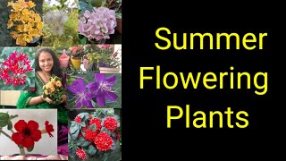 Summer Flowering Plants In Telugu summerfloweringplant groplants [upl. by Bradshaw]