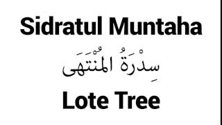 How to Pronounce Sidratul Muntaha  Middle Eastern Names [upl. by Monteria]