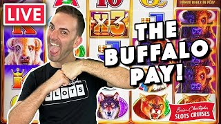 18000 in EPIC Slot Play 🦬 The Buffalo Pay [upl. by Chad56]