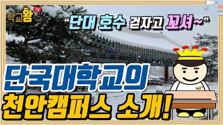 단국대학교 천안캠퍼스 소개 단국대 천안캠퍼스에는 뭐가 있을까 [upl. by Hutton]