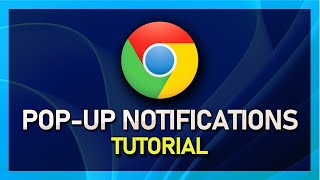 How To Enable  Disable PopUp Notifications in Google Chrome [upl. by Adnof283]