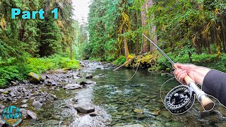 Catching a HUGE fish in a TINY CREEK 34 Inches  Fly Fishing Washington [upl. by Aineles218]