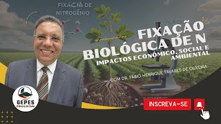 Fixação Biológica de N impactos ambientais sociais e econômicos [upl. by Surdna675]