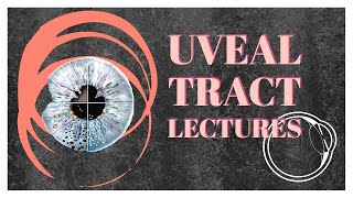 UVEAL TRACT lecture 1 ANATOMY OF choroid ciliary body and iris in detail [upl. by Laurel]