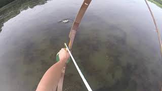 Pymatuning resivoir bowfishing [upl. by Gruver]