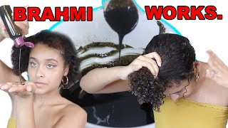 Brahmi Hair Thickener 2 ways to use it for GROWTH [upl. by Bearnard]