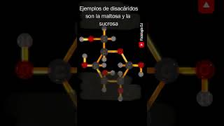 ¿Que son los carbohidratos  Carbohidratos ¿Qué son  Funciones  Ejemplos [upl. by Derayne]