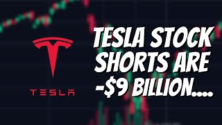 Watch This Before Tomorrow Morning Tesla Stock Investors [upl. by Lenssen588]