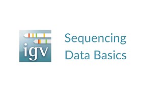 IGV  Sequencing Data Basics [upl. by Onailil]