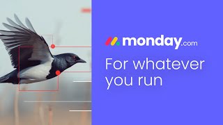 Manage anything track progress and collaborate effortlessly with mondaycom [upl. by Swanson53]