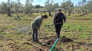 Vamos a plantar el árbol más rústico que hay [upl. by Deraj]