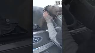 Police Officer Saves Dog From Car Fire ❤️ [upl. by Oremo]