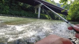 Bass fishing the Guyandotte River [upl. by Chud]