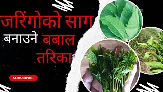 जरींगोको साग पकाउने तरिका  Jaringo ko saag Pakaune tarika । Best green vegetable recipe [upl. by Silberman796]