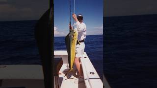 Hot Spot Sailfish in Quepos Costa Rica snapshot shorts costarica [upl. by Yllaw170]