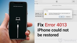 How to Fix iPhone Error 4013 iPhone Could Not Be Restored on iOS 14 iPhone 11XSXRX87 [upl. by Leduar]