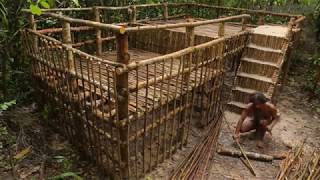 Primitive Technology Dom w DŻUNGLI Wspaniały Bushman build house [upl. by Aber552]