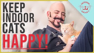 How to Keep Indoor Cats HAPPY [upl. by Guadalupe]