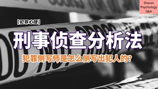 【犯罪心理】犯罪侧写师是怎么侧写出犯人的？刑事侦查分析法 [upl. by Haldi]