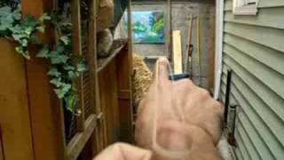 How to shoot a rubber band over 20 feet accurately [upl. by Handler229]