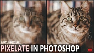 How To Pixelate An Image In Photoshop [upl. by Yelsgnik927]