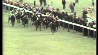 1977 Tote Ebor Handicap [upl. by Yukio24]