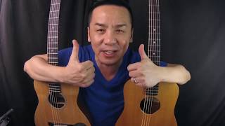 BABY TAYLOR VS LITTLE MARTINCOMPARISON GUITAR REVIEW IN SINGAPORE [upl. by Norman]