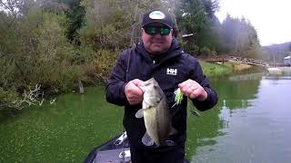 Bass Fishing Tenmile Lakes Lakeside Oregon [upl. by Susi]