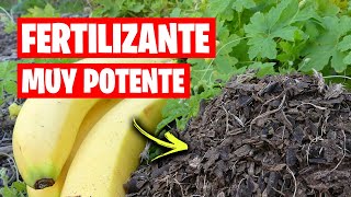 NUEVO FERTILIZANTE con Cascara de PLATANO 🍌 Nutrientes para tus Plantas  La Huerta de Ivan [upl. by Rexanne84]