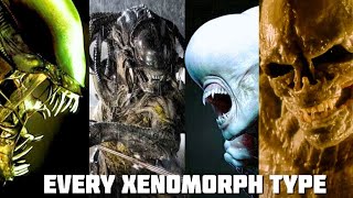 Every Xenomorph Type Explained inc Alien Romulus [upl. by Tewell914]