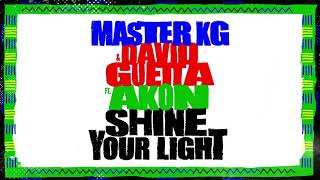 Master KG amp David Guetta  Shine Your Light Feat Akon Official Lyrics Video [upl. by Timmie]