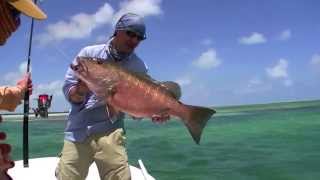 Angeln in Kuba  Fishing in Cuba Spin amp Fly  Action for Bonefish amp Snapper [upl. by Anauq187]