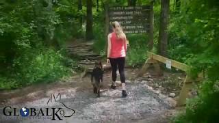 German Shepherd Protecting Owner On A Hike [upl. by Eiramnerual]