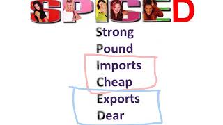 AQA GCSE Business Studies  Unit 2 Exchange Rates GCSE [upl. by Zadoc]