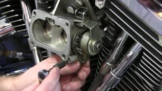 ThunderMax Marelli EFI Throttle Adjustment [upl. by Enimzaj]